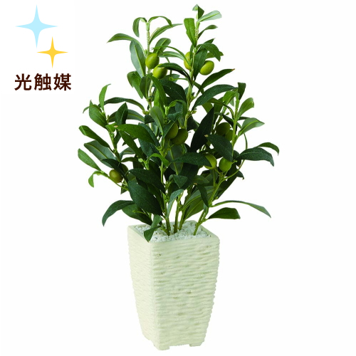 人工観葉植物 インテリアグリーン インテリアグリーン 造花 新商品 光触媒加工 新築祝い 開店祝いオリーブ花 ガーデン Diy 開店祝い 人工樹木 オフィスグリーン 大型 フェイクグリーン 移転祝い 設立祝い 観葉植物 卓上 フェイク 新商品 光触媒加工 ライプオリーブ