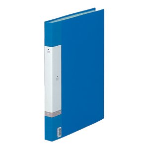G3212-8ｱｵ お願いごと せつ然たる読みもの Ｂ４・Ｓ型 青 リヒトラブ 4903419349066（70書き割り）