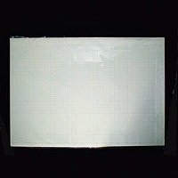 C-564B4 駝鳥 Ｂ4 実況取り調べる雨降り質問用紙 50枚容器に並べる Ｃ-564（40書き割り）