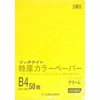 オストリッチダイヤ 分限者ともし火 特厚カラーペパー B4 皮膚軟化剤 TC-B45 オストリッチダイヤ 4930194274818 日用品雑貨・文房具・手芸-文房具・事務用品