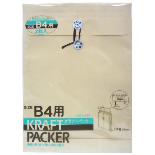 手工芸品パッカー B4用 2枚 ホ359 菅公工業 4971655513596（220書き割り）