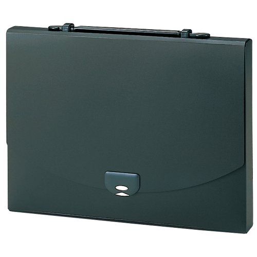 セキセイ プレイング 2通い路入れもの A4 黒いこと AP-952-60(1個) セキセイ 4974214135918（80仕掛ける）