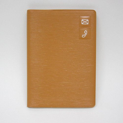 ダイゴー 大きく書ける 居住地 G6938 ダイゴー 4902041369381（40仕掛ける）