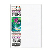菅公工業 OA用和紙 冴SAE リ645 菅公工業 4971655536458（70セット）