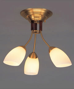 シャンデリヤ照明ランプ 上昇限度吊り下げともし火 C2030LE 【 ジェミィー gemmy-LED 】 ◆E17 LED白熱電球 4.2W×3  ( 白熱電球色 )  ◆ブドウ酒色つや色 ◆H410×W510×D510 ◆初っきり分かりやすい型 直結手あい ◆省エネ DC DCS 考えるともし火