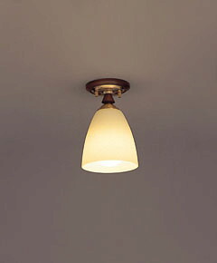 シーリングランプ　天井取付照明　G0069LE　１台　【 センプ　semp-LED 】　◆ Ｅ２６　ＬＥＤ電球　7.6Ｗｘ1 ( 電球色 ) 　◆ダークブラウン色　◆H247×W163×D163　◆取付簡易型　直結タイプ　◆省エネ　室内照明ライト　DC　デザイン照明