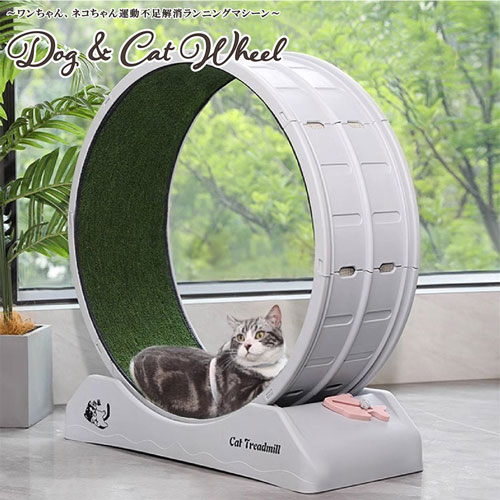 大川リビング 犬猫回転ホイール 樹脂タイプ DC-WHEEL-ABS 1台 W79&times;D33&times;H85cm お客様組立｜オフィス主任