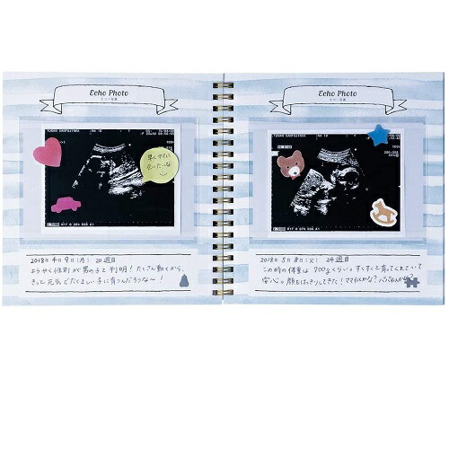 楽天市場 メール便送料無料 マークス マタニティ アルバム アニマル刺繍 ウサギ クマ Pb Al02 赤ちゃん エコー写真 出産祝い 育児記録 ベビーアルバム 育児日記 成長記録 ポイント10倍 アルバムとママ雑貨の店オフィス31