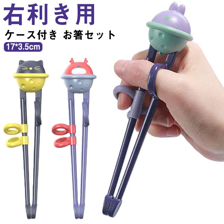 ケース付き お箸セット トレーニング箸 キッズ 右利き用 女の子 おはし こども