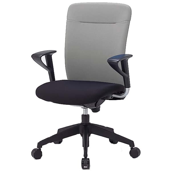 生興 ルルティモチェアー ブラックシェルタイプ ハイバック 肘付 LLS-A40BK [黒色 オフィスチェア 事務用チェア オフィス用品 オフィス用 オフィス家具 チェア 椅子 イス 事務椅子 デスクチェア パソコンチェア 高機能]