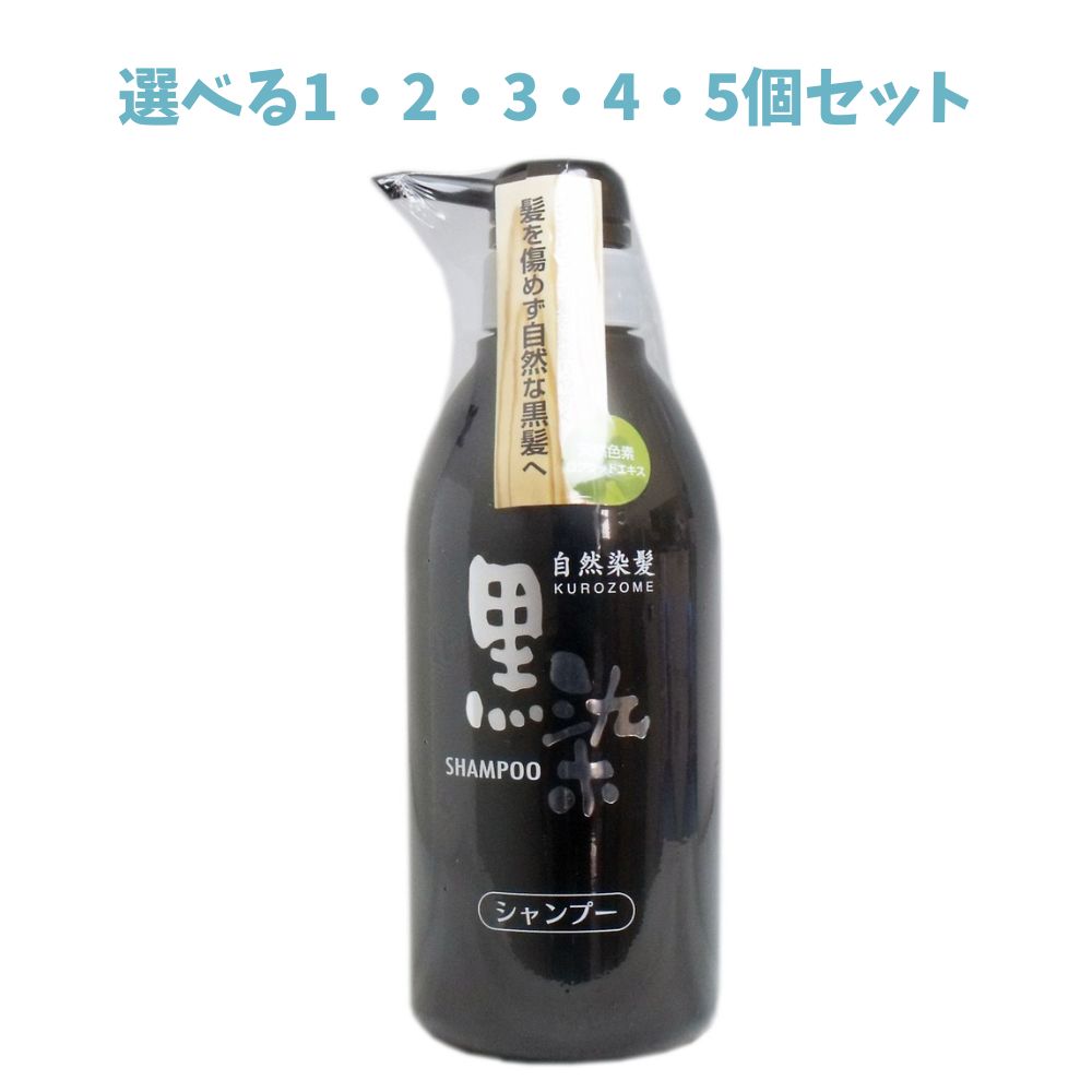 【選べる1・2・3・4・5個セット】黒染 ヘアシャンプー 500mL 自然な黒髪 着色するシャンプー 傷みにくい