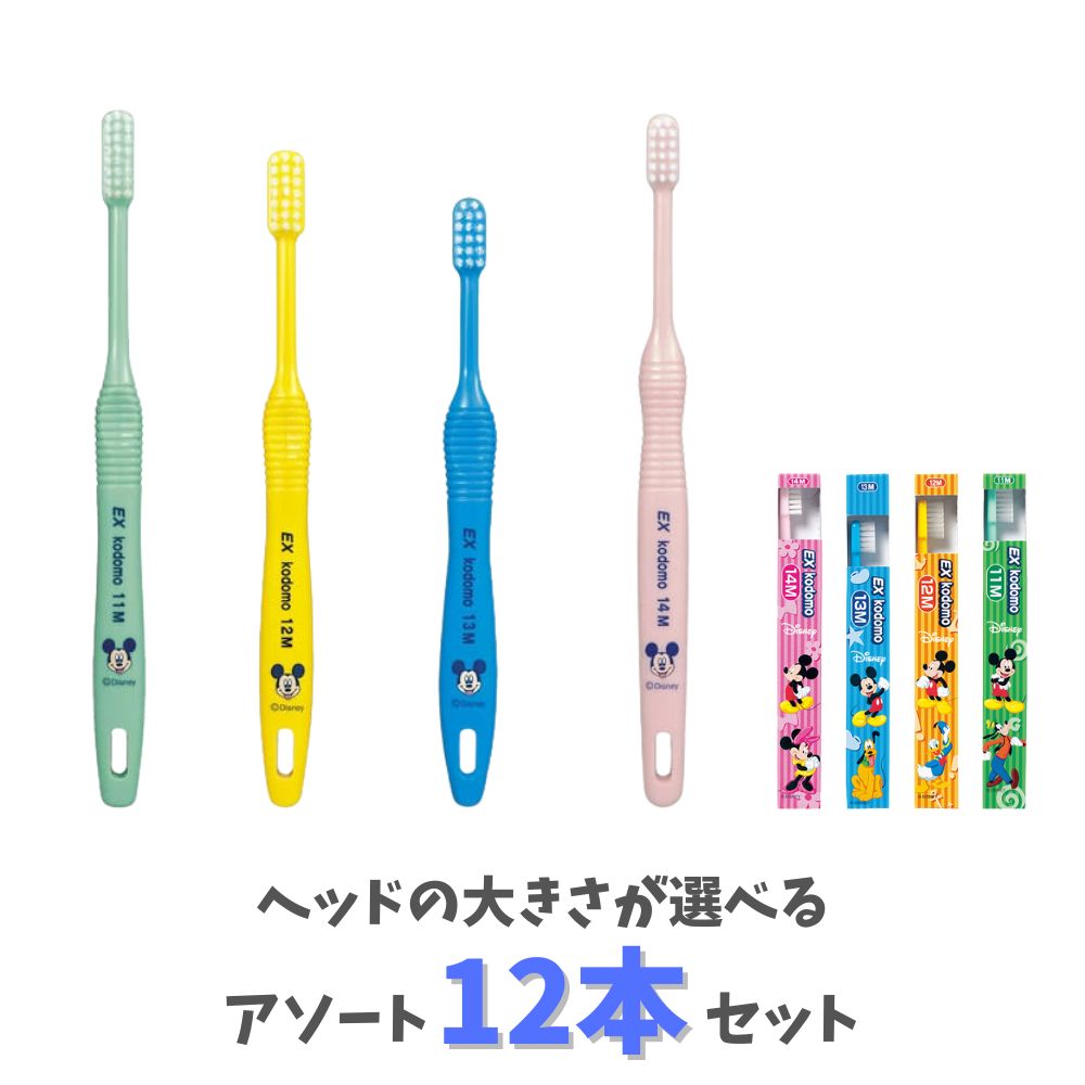 【ポイント10倍キャンペーン当店バナーよりエントリー必須】【ヘッドの大きさが選べる12本セット】DENT. EX kodomo ディズニー ハンドルカラーピンク／緑／黄／青 ライオン Disney キッズ歯ブラシ画像