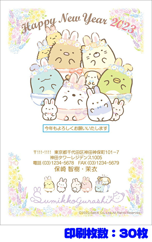 全30柄 23年度版 卯年 郵政お年玉付き年賀はがき 官製年賀葉書 年賀状印刷 30枚 キャラクター年賀状 pr 30 低価格
