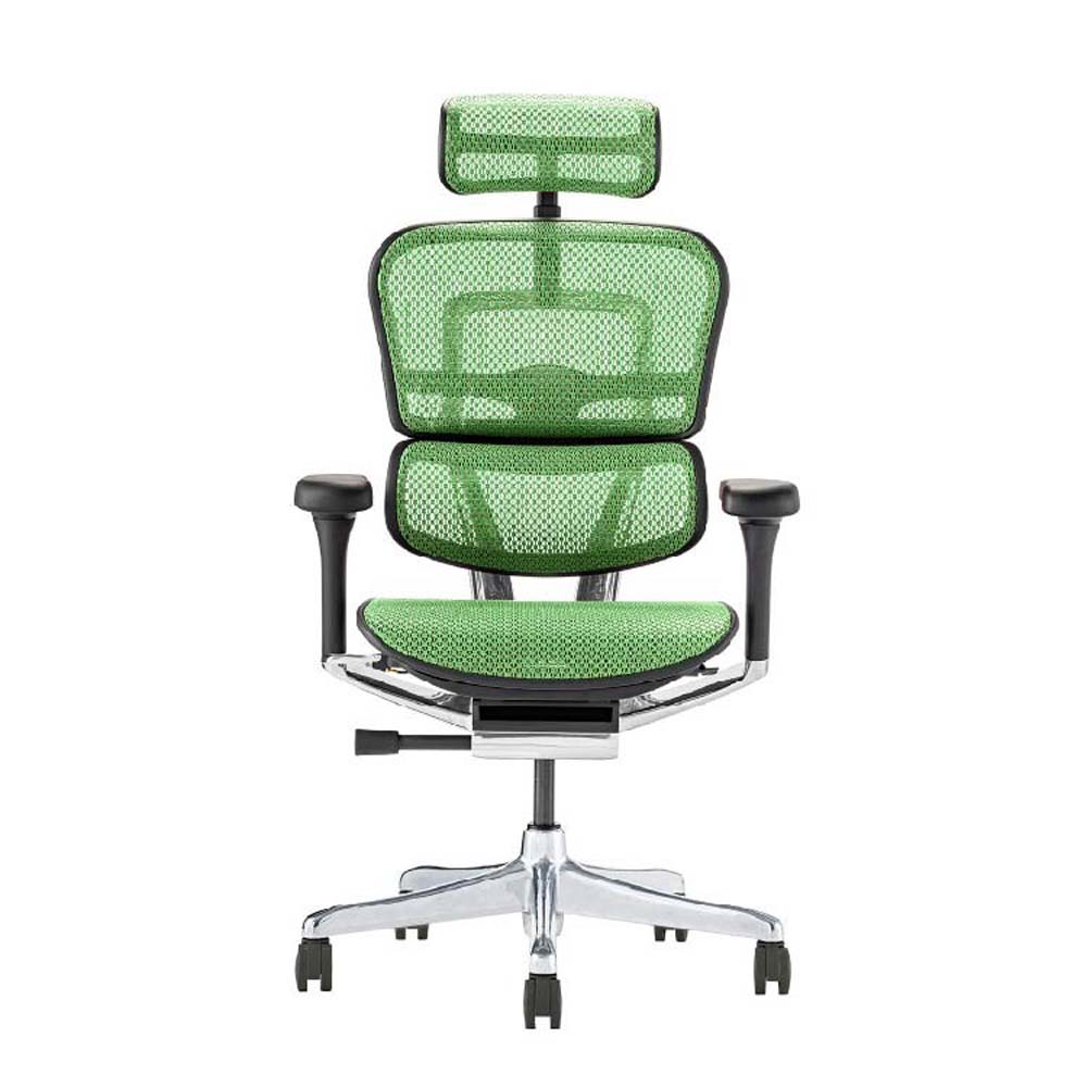 【4月4日20時-10日1時59分までエントリーで2点購入P5倍・3点以上でP10倍】関家具 エルゴヒューマン プロ2 ハイタイプ ブラックフレーム EHP2-HAM-DR-BF-GN グリーン