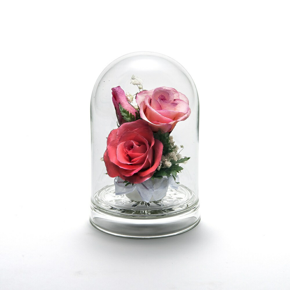 グラスウェアフラワー ドライフラワー ローズ ミニドーム ピンク Gw816 P 薔薇 ガラス ギフト 誕生日 記念日 内祝い ドライフラワー 敬老の日 ブライダル 贈り物 お見舞い 歓迎 退職 入学 卒業 Bluewaterwells Com