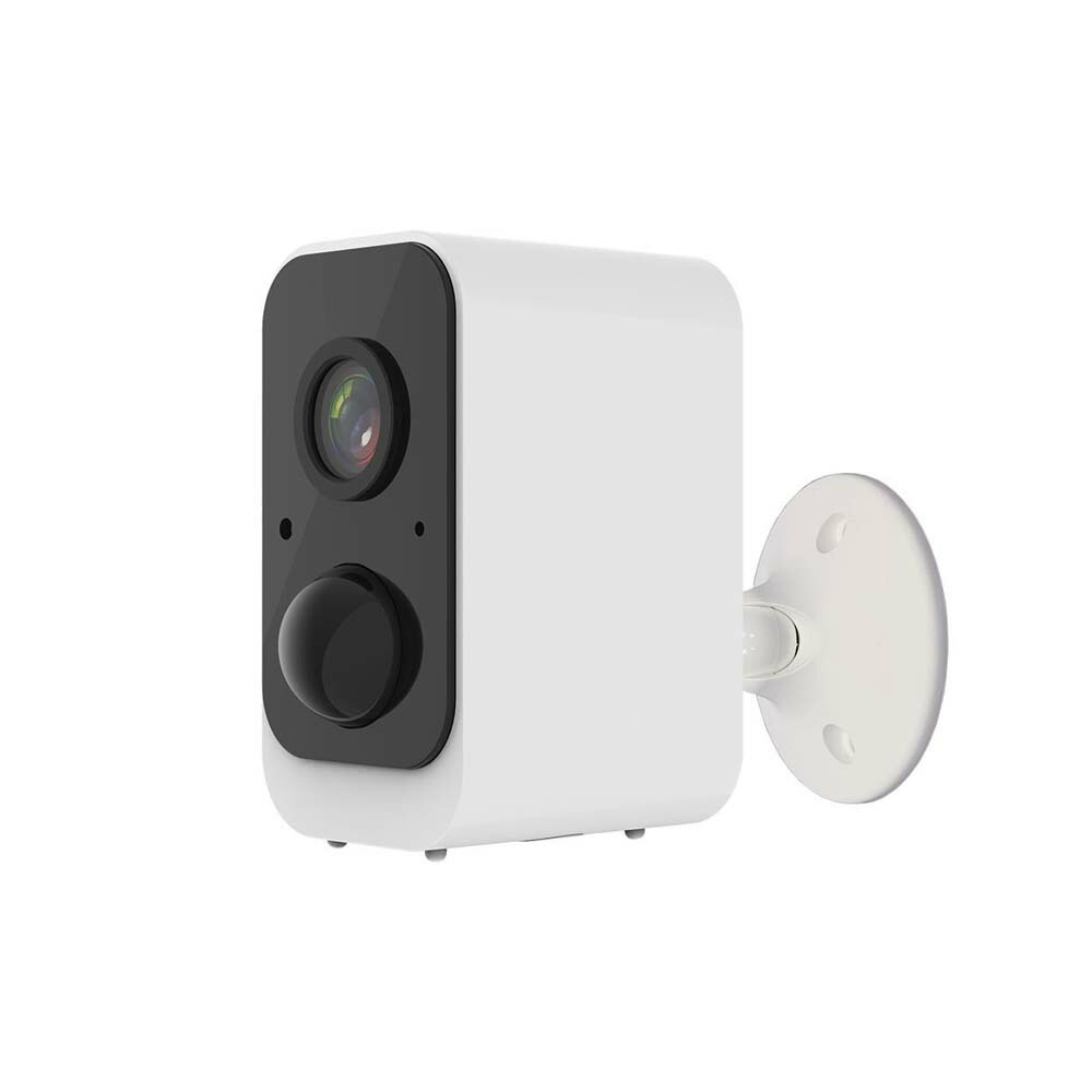 楽天市場】【10月14日20時〜17日9時59分まで全品ポイント2倍】カシムラ