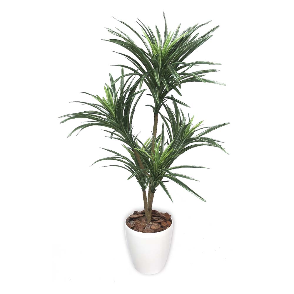 送料無料 ユッカ 送料無料キャンペーン中 花 観葉植物 人工観葉植物 ササガワ ユッカ 32 8716 オフィスランド 人工観葉植物 Mサイズ 送料無料 ユッカ 送料無料キャンペーン中 花 観葉植物 人工観葉植物 ササガワ ユッカ 32 8716 オフィスランド 人工観葉植物 Mサイズ