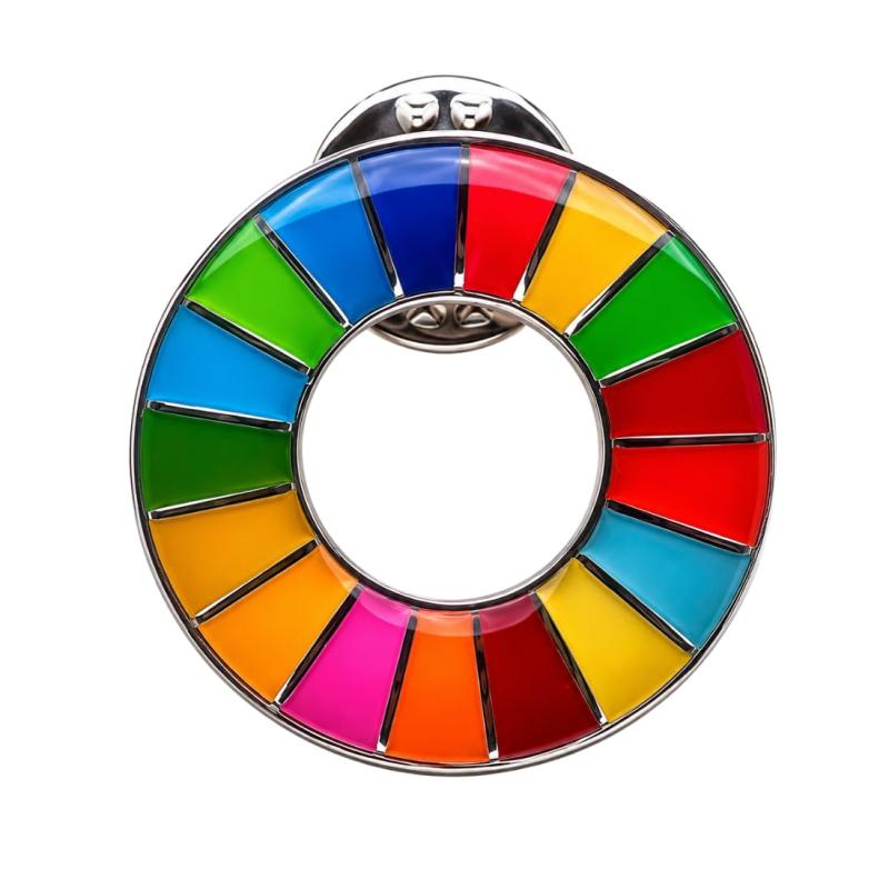SDGs バッジ (直径20mm小さめ) ピンバッジ SDGs エスディージーズ ピンバッチ 国連最新仕様 バッヂ 襟章 銀色 シルバー 表面が丸みのある仕上げ
