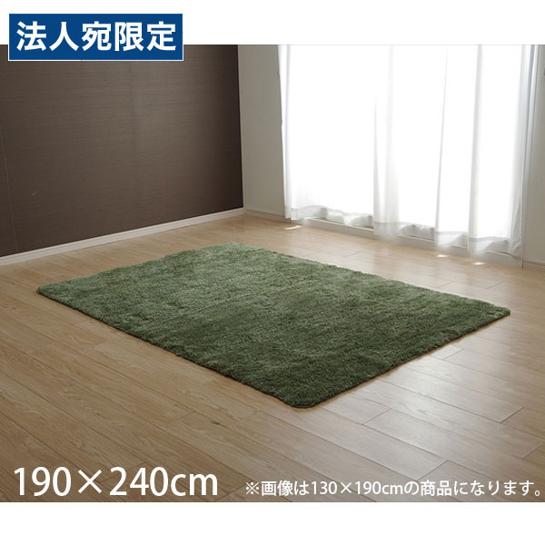 イケヒコ モダン カーペット 約190×240cm グリーン [ ラグ 3畳 無地 シャギー調 手洗い可 滑り止め付き ]『代引不可』 『送料無料（一部地域除く）』