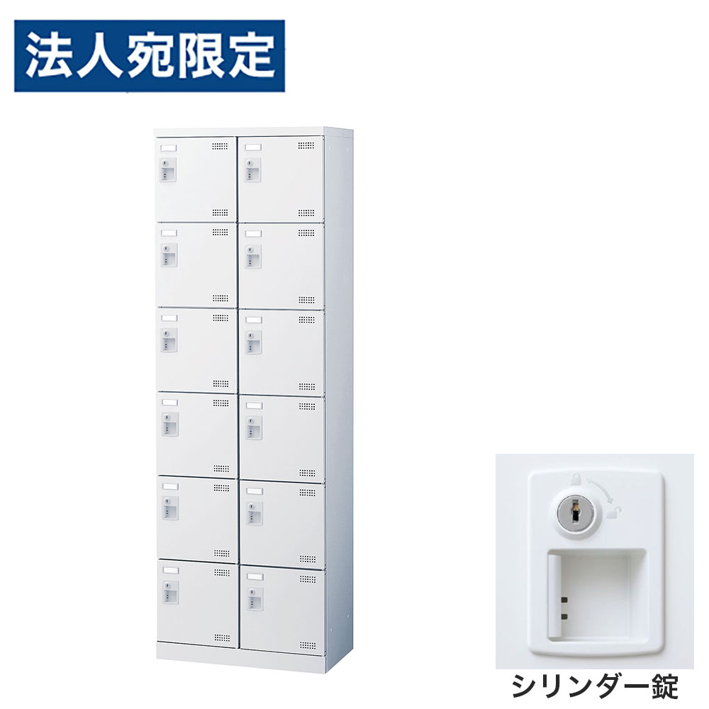靴箱 シューズロッカー サボ箱 スチール写真製 鍵付 御役目用 切り上げる品 日本製 扉付 白いこと 12足 SLBW-212-S2 (円柱錠)2列6段12人用 生興『代引不可』『貨物輸送無料（構成成分地方除く）』