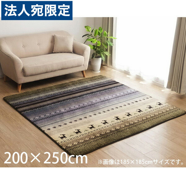 楽天市場】イケヒコ DXラディ ラグ ギャッベ柄 ホットカーペット対応