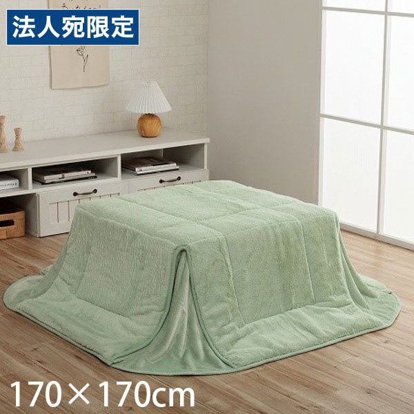 イケヒコ ラピアス こたつ布団 省スペースタイプ 正方形 170×170cm ピスタチオグリーン G6843119 [ こたつ 掛け布団 省スペース 軽量 無地 シンプル ]『代引不可』 『送料無料（一部地域除く）』