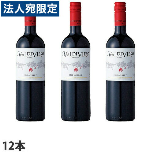 『取寄品』 バルディビエソ バルディビエソ メルロー 750ml×12本 完熟プラムのフレーバーにチョコやスパイス、スモーキーな香り 『送料無料（一部地域除く）』