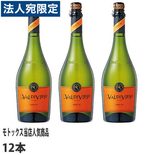 バルディビエソ バルディビエソブリュット 750ml&times;12本2012、2011年 コンクール金賞受賞『送料無料（一部地域除く）』｜オフィストラスト