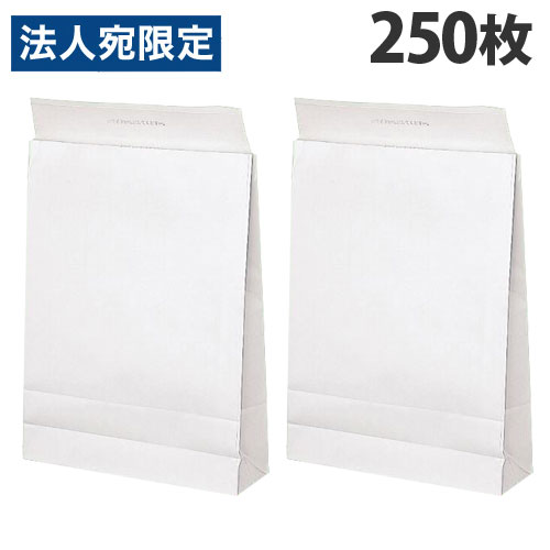 宅配袋 大 320×110×450mm 250枚入 配送袋 梱包袋 紙袋 郵便袋 梱包袋 梱包資材 無地『送料無料（一部地域除く）』