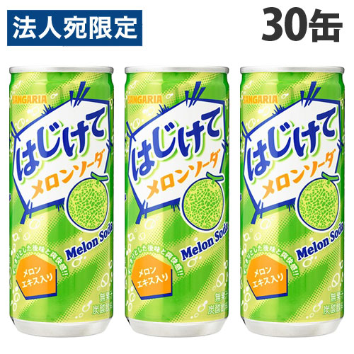 サンガリア⭐︎ 楽天市場】はじけてメロンソーダ 250g 30缶 サンガリア : よろずやマルシェ