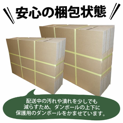 ダンボール 160サイズ(3L) 10枚 620×460×420 引越し 宅配箱 取手なし 段ボール 130 K5 A2 無地 みかん箱 梱包用 引っ越し ダンボール箱 段ボール箱 宅配 収納『送料無料(一部地域除く)』