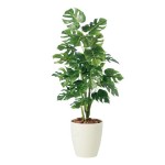 人工あずま屋（観葉草木） モンステラR【東北花材】90221高さ約1100粍 【製造業者直送品】【第四次元特定化不可・暮夜送りとどける不可】【週日送りとどけるのみ】