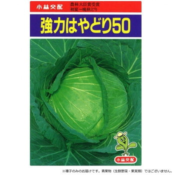 （代引き不可）（同梱不可） 小林種苗 キャベツ種子 強力はやどり50　4-17-4　20ml 耐暑性・耐乾性に優れた品種!とにかく早く収穫するならコレ!