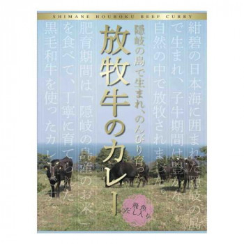 （代引き不可）（同梱不可） 隠岐放牧牛カレー 10食セット 牛肉の味を表現したカレー