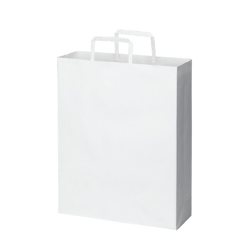 パ）紙袋　平紐　白　スタンダード　Ｌ　５０枚×３ 4255-4189 【カウネット】 4,704円