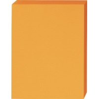 パ）色合い質問用紙 厚口 Ａ４ 受けが良いオレンジ色１箱5063-1360【カウサイバー空間】