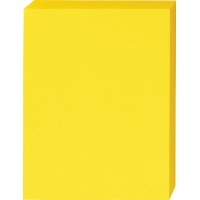 パ）色合い質問用紙 厚口 Ａ４ 受けが良い黄色１箱5063-1377【カウサイバー空間】