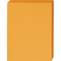 パ）色合い質問用紙 中厚口 Ａ４ 受けが良いオレンジ色 １箱5063-1308【カウサイバー空間】