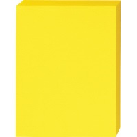 パ）色合い質問用紙 中厚口 Ａ４ 受けが良い黄色 １箱5063-1315【カウサイバー空間】