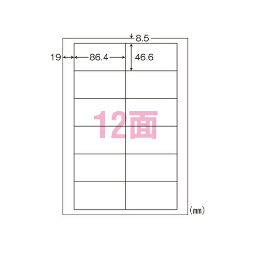 シンプルパック１０面付５００シート梱包 LDW12PBA 【東洋印刷】