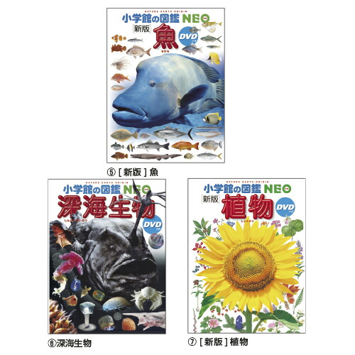 楽天市場】小学館の図鑑NEO (5)魚NEOｻｶﾅ【小学館
