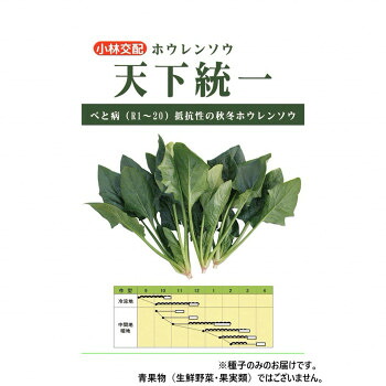 （代引き不可）（同梱不可） 小林種苗 ホウレンソウ種子 天下統一　7237　L　1リットル 天下統一ホウレンソウ