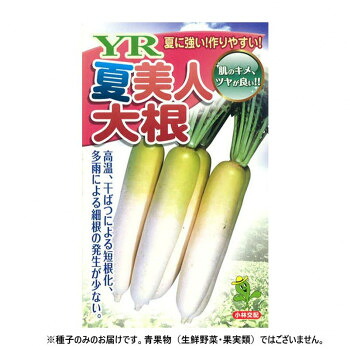 （代引き不可）（同梱不可） 小林種苗 ダイコン種子 YR夏美人　11　2dl 暑さに強く作りやすい!美しい大根