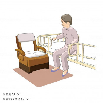 （同梱不可） シンエイテクノ ゼオシーター ブラウン L SZ L 462007 消臭力・すべり止め効果抜群