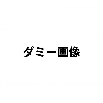 (同梱不可) 造形補修剤 プラリペア(R) パウダー(粉) 100g P-100 赤 欠けた部分も作って直せる!!