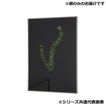 （同梱不可） アルナ 額縁 シンプル ALUMIUM RIM マットシルバー 250角 16701 額によって生まれる影が、美しい装飾になる額縁