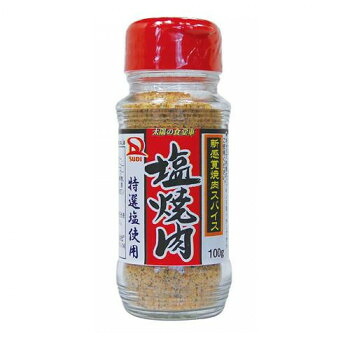 (同梱不可) サンダイナー食品 粉末調味料 塩焼肉 100g 40本 234 焼肉の楽しみ方を幅広くする新感覚焼肉調味料|オフィス ユー
