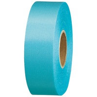 スマートバリュー カラーリボン水色 24mm*25m10個 B824J-SK10 / 店舗用品その他 / 831137