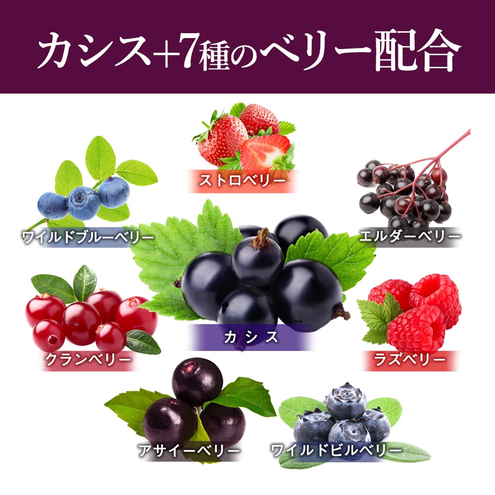 楽天市場 リニューアル カシス 約1ヶ月分 送料無料 サプリメント サプリ カシス アサイー 配合 オーガランド ルテインやブルーベリーとの併用 ポリフェノール 美容 健康 アントシアニン スマホ Jh サプリ専門店 オーガランド