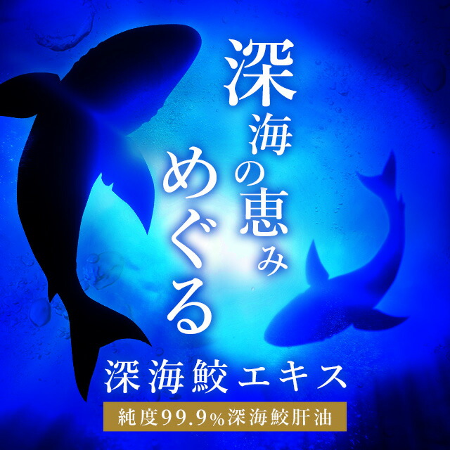 楽天市場 深海鮫エキス 約3ヶ月分 送料無料 純度99 9 1粒にスクワレン 深海鮫肝油 280mg配合 オーガランド サプリ サプリメント サメ肝油 Supplement スクワレン ヘルシーオイル Jb Jh サプリ専門店 オーガランド
